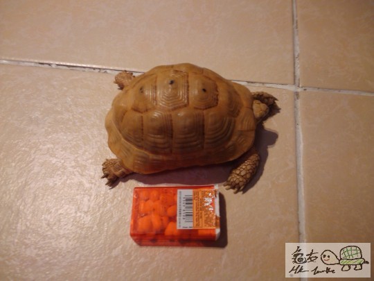 2011-07-06 23.09.14.jpg