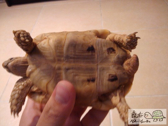 2011-07-06 23.09.04.jpg