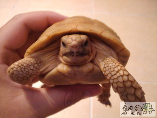 2011-07-06 23.08.43.jpg