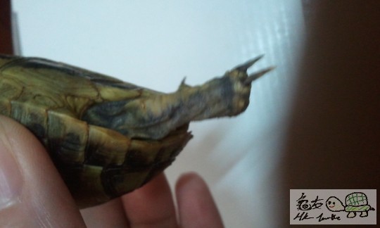 2011-07-23 10.31.09.jpg