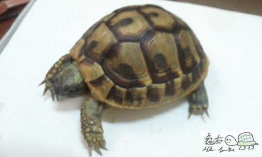 2011-07-23 10.33.47.jpg