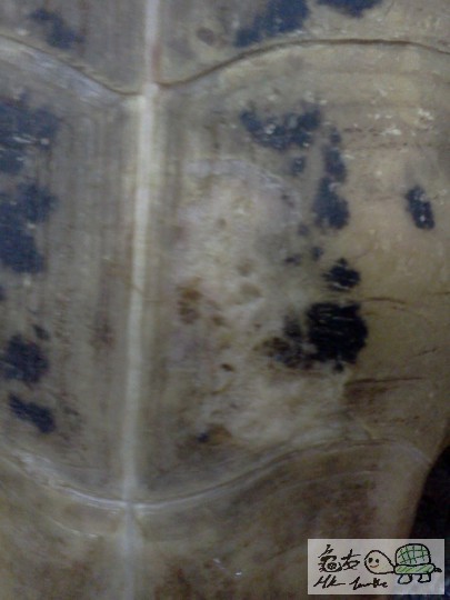 IMG111.jpg