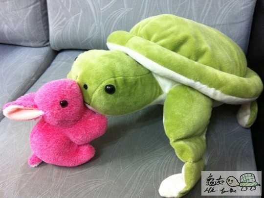 花心的攬攬龜對兔兔都係咁擒青的! *o*