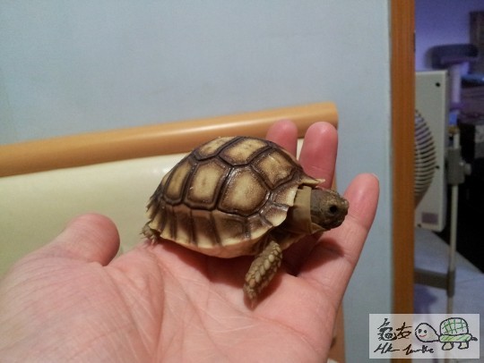 2011-09-10 02.32.53.jpg