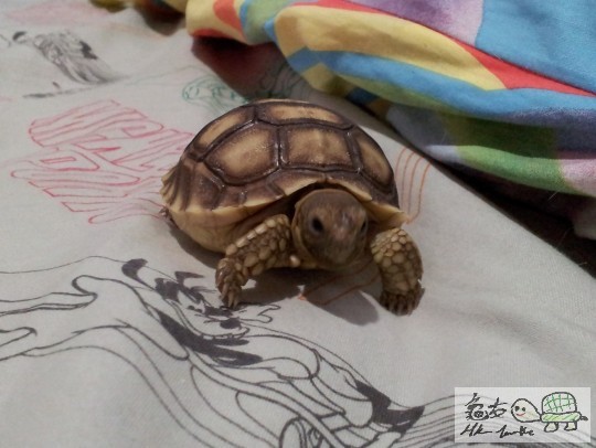 2011-09-10 02.21.28.jpg