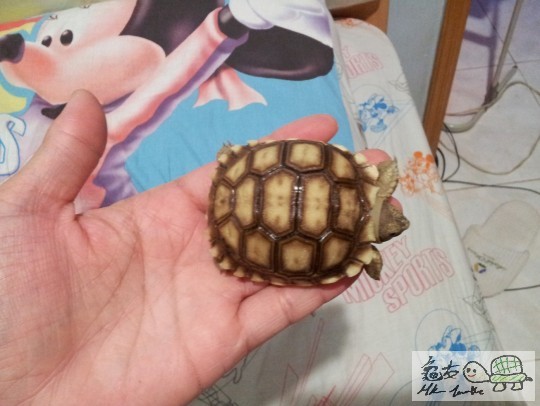 2011-09-10 02.33.28.jpg