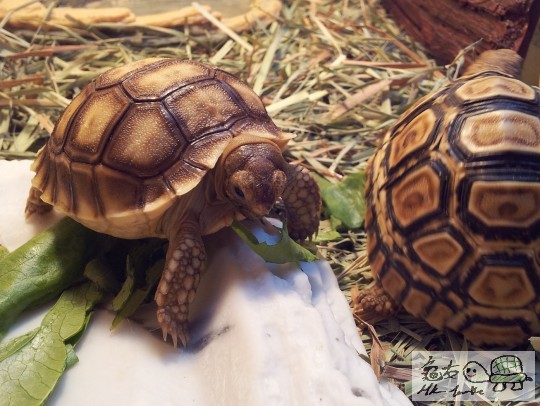 2011-09-11 23.00.17.jpg