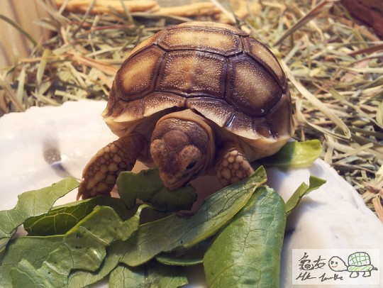 2011-09-11 23.03.18.jpg