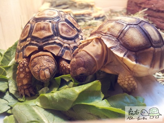 2011-09-12 20.59.21.jpg