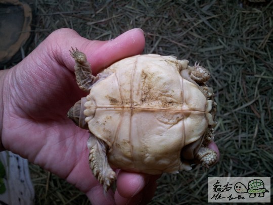 2011-09-14 22.58.16.jpg