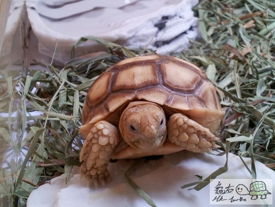 2011-09-25 01.44.40.jpg