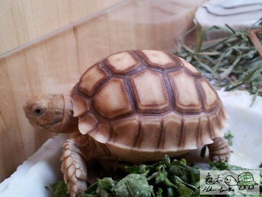 2011-09-25 01.45.23.jpg