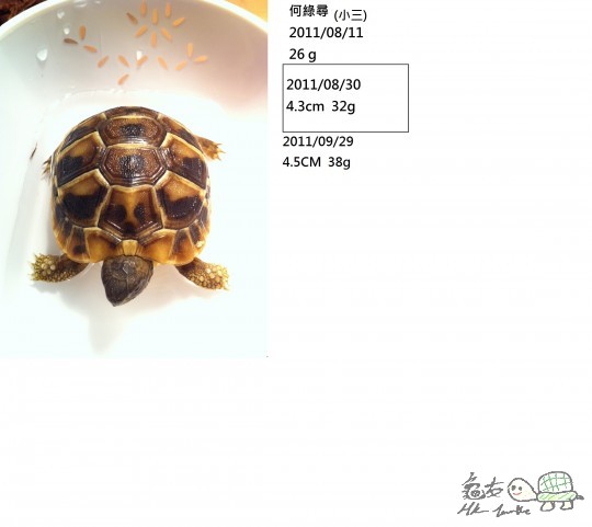 Photo 11-8-11 20 00 58.jpeg