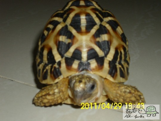 歷史相片 011.JPG