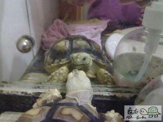 嘩 做咩偷影我呀