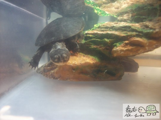 DSCF0887 (1280x960).jpg