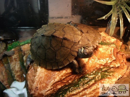 DSCF0892 (1280x960).jpg