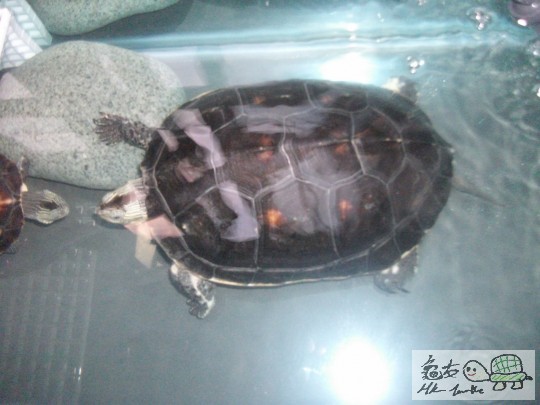 DSCF0901 (1280x960).jpg