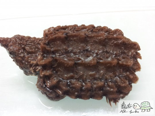 個殼有小小甩皮咁