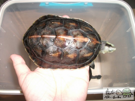 DSCF0766 (1280x960).jpg