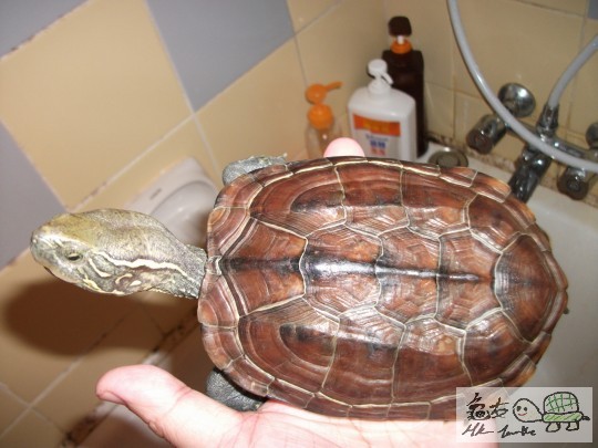 DSCF0794 (1280x960).jpg