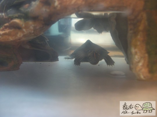 DSCF0885 (1280x960).jpg