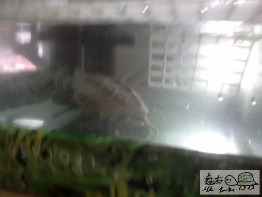 IMG20111227_003 - 複製.jpg