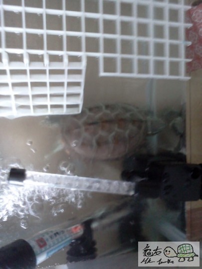 IMG20111227_002 - 複製.jpg