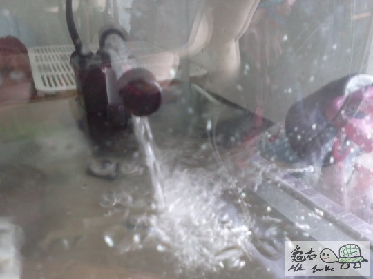 IMG20111227_004 - 複製.jpg