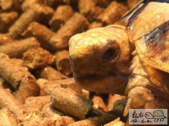 打開眼又好似好正常咁....