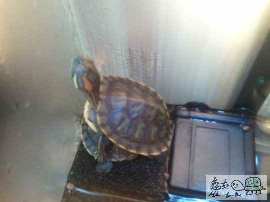 2012-01-23 01.12.52.jpg