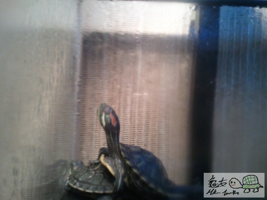 2012-01-23 17.02.22.jpg