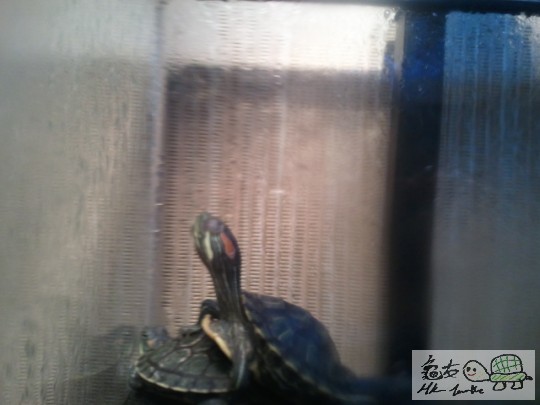 2012-01-23 17.02.45.jpg