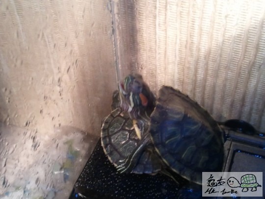 2012-01-23 17.42.43.jpg