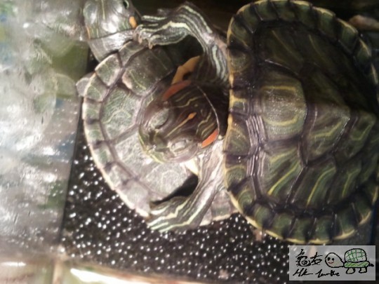 2012-01-23 17.42.35.jpg