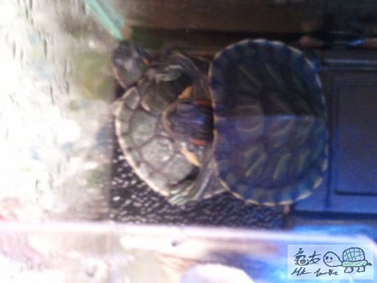 2012-01-23 17.40.59.jpg