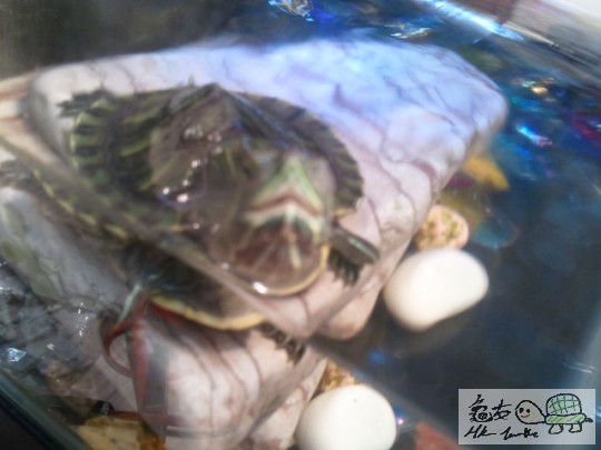 2012-01-23 20.28.52.jpg