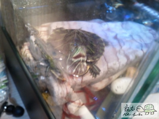 2012-01-23 20.28.44.jpg