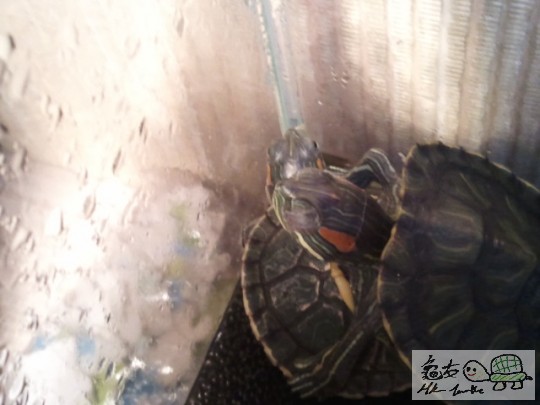 2012-01-23 17.43.04.jpg