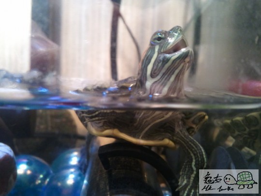 2012-01-23 20.30.40.jpg