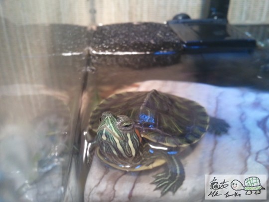 2012-01-23 20.29.36.jpg