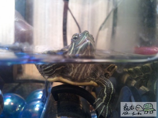 2012-01-23 20.30.32.jpg