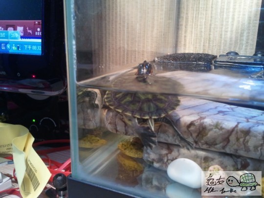 2012-01-23 20.32.28.jpg