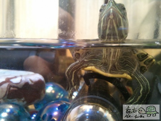 2012-01-23 20.31.05.jpg