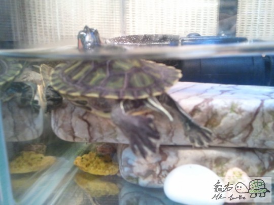 2012-01-23 20.33.49.jpg