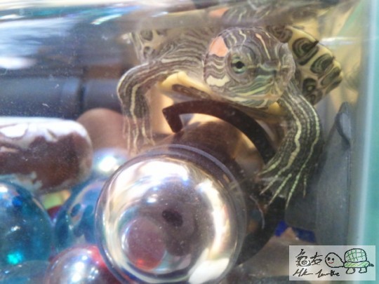 2012-01-23 20.31.14.jpg