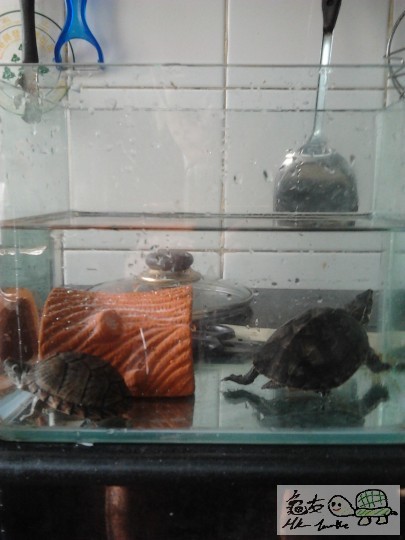 2011-12-31 13.42.47.jpg