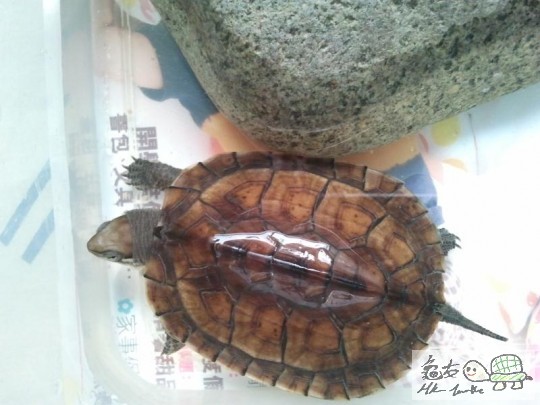 2011-09-04 15.57.28.jpg