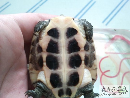 2011-09-04 15.58.12.jpg