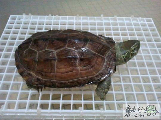 2012-02-14 13.04.01.jpg